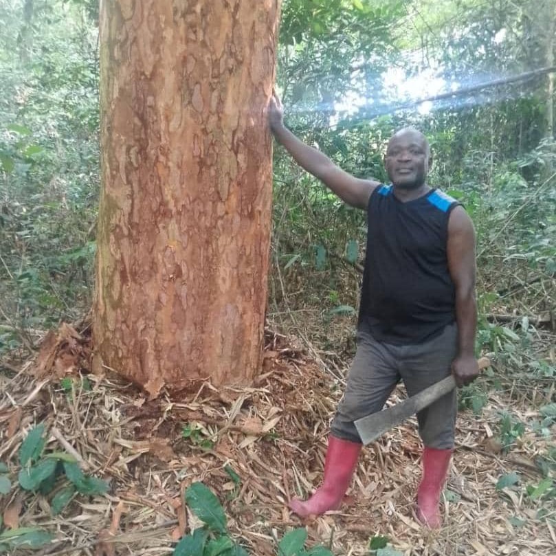 Jean de Dieu Agbukemu